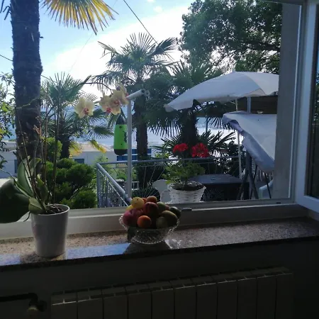 Flumine * רייקה