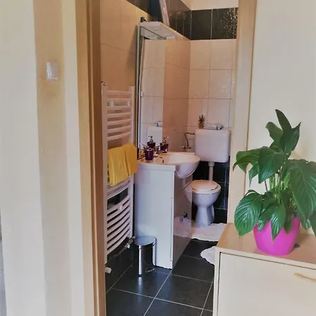 Apartamento Flumine *